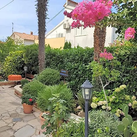 Mara بوريتش